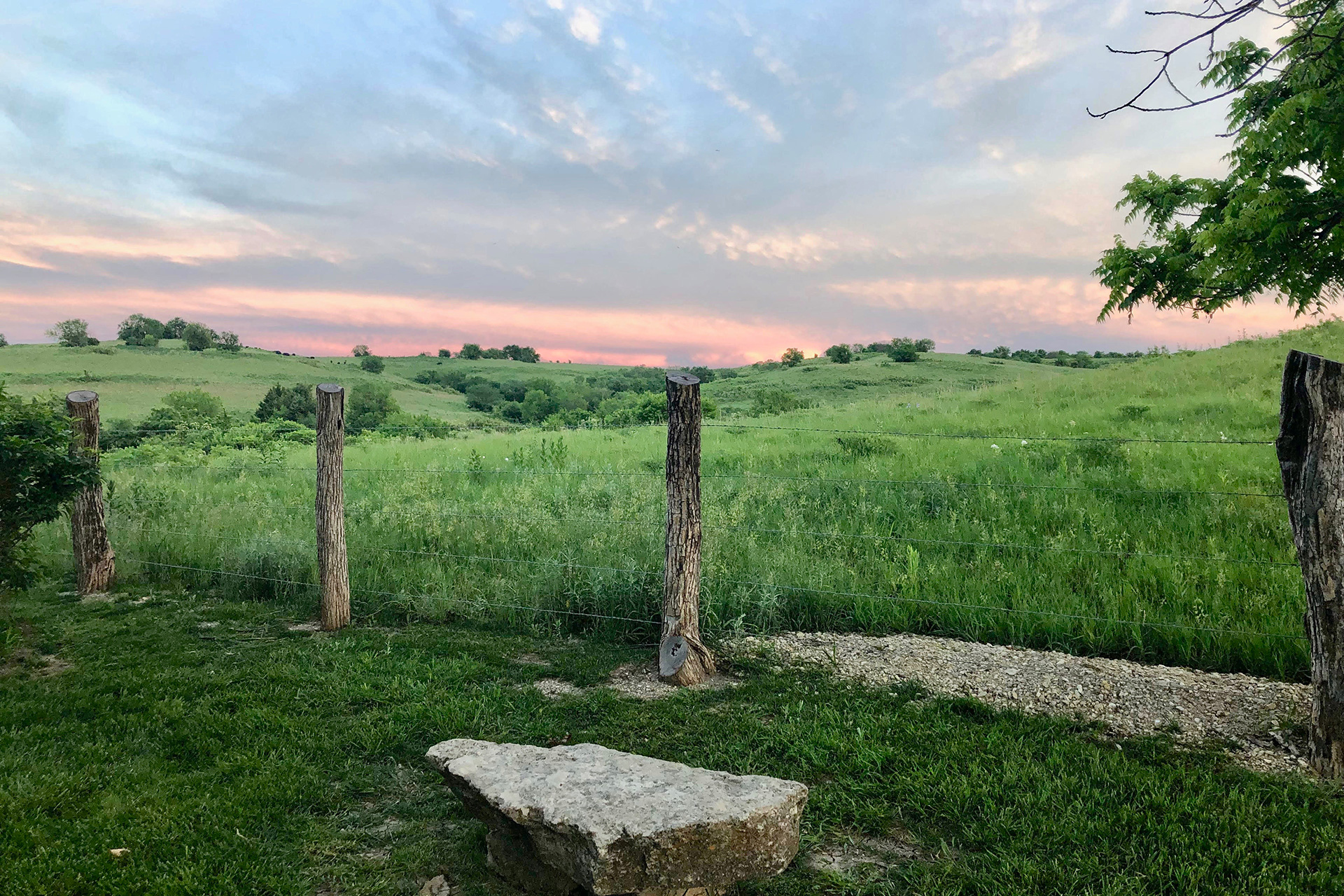 Overlooking Willis Prairie from the backyard of RetreatHouse at sunrise.