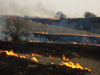 Controlled Prairie Burn