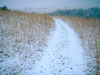 Tallgrass Prairie in Winter