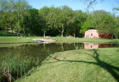 Walnut pond view